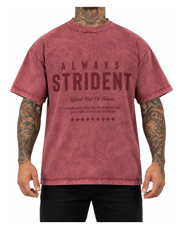Rose Washed Graphic Shirt — model view