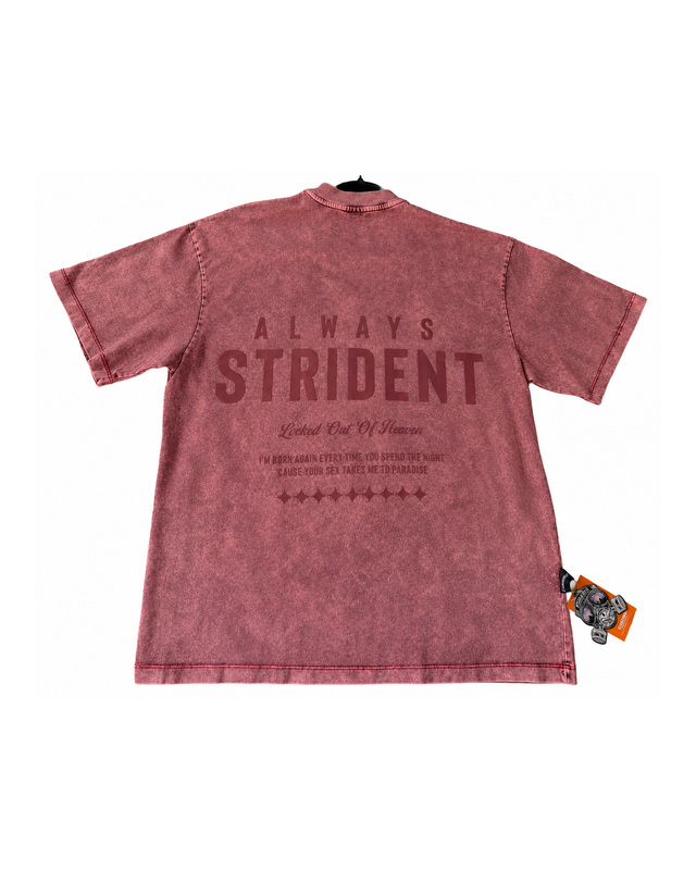 Rose Washed Graphic Shirt — front